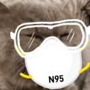 null在掘金111516的个人资料头像