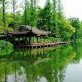 衣衫不整8头像