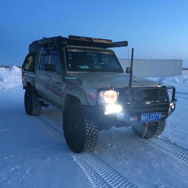 汇之星深夜小蜜蜂头像