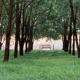 K乐呵乐呵每一天头像