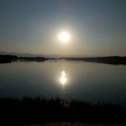 RZP的个人资料头像