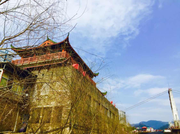 偶尔逛逛的个人资料头像