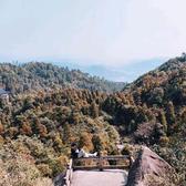 冰淇淋不冰yt头像