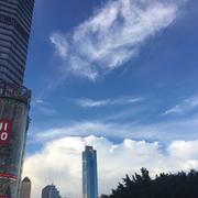 左1485685435000的个人资料头像