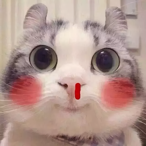 酻陽头像