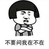 随机名称336头像