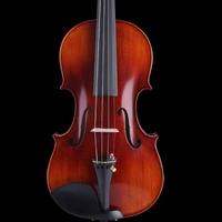 临平小提琴老师头像