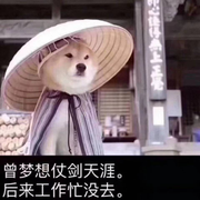 星云_半糖的个人资料头像
