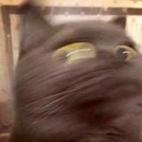 贫民窟男孩689头像