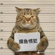 填写你的用户名911的个人资料头像