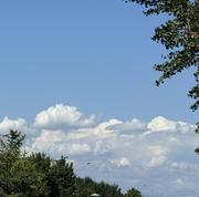 孟拉架上园的个人资料头像