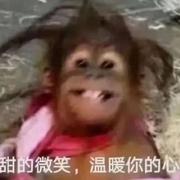 王校校校的个人资料头像