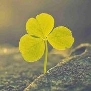 风森的个人资料头像