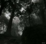 sevenz的个人资料头像