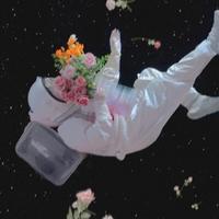 今天只发呆头像