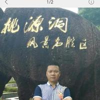 难舍的缘头像