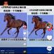 用户3802240460267头像