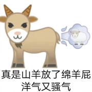 健康小子的个人资料头像
