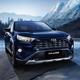 丰彩世界 · RAV4荣放车主·新提车头像