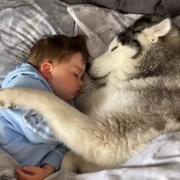 周八的个人资料头像