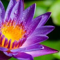 智慧艺术家KMThbA头像