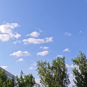 鹿铃头像