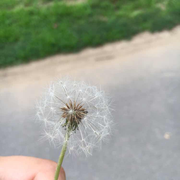 warmjaxk的个人资料头像