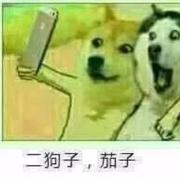 柳椿子的个人资料头像