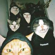 被窝快放开我的个人资料头像