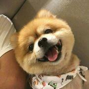 我的名字要短一点再短的个人资料头像