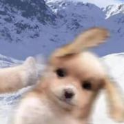 Jiang遛遛的个人资料头像