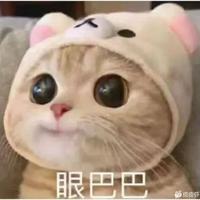 yq娱乐搞笑优质视频头像