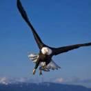 ls重名了75973的个人资料头像