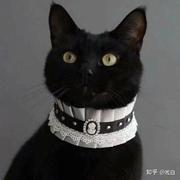 meimeimeia的个人资料头像