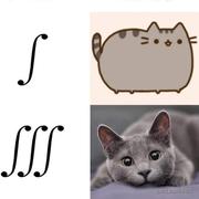 coolC010r的个人资料头像