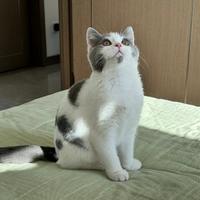 小付即安丷头像