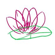 Kasayuki的个人资料头像