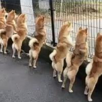 用户4539049705540头像