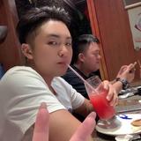 飞驰的小公马头像