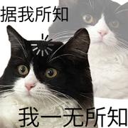 丨一无所知丨的个人资料头像