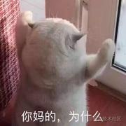 用户243357670176的个人资料头像