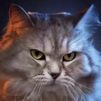 穿红裤衩的靠谱成年男性头像