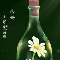 神秘芒果sS头像