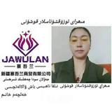 哈力沙木头像