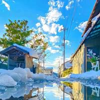 白月还往事头像