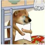 用户9885028683311头像