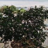 自然界574头像