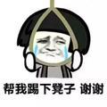 炮山王头像