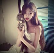 依依的小屋的个人资料头像