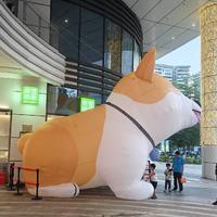 温柔以对342头像